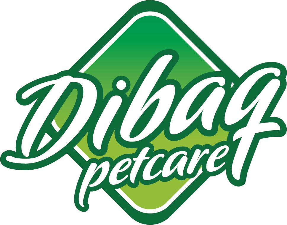 Grupo Dibaq