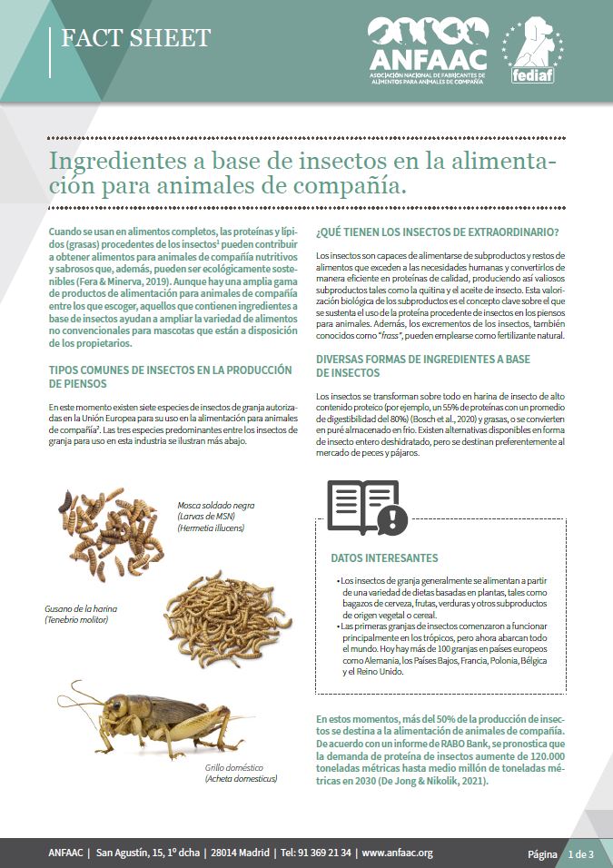 Fact Sheet: Ingredientes a base de insectos en la alimentacin para animales de compaa