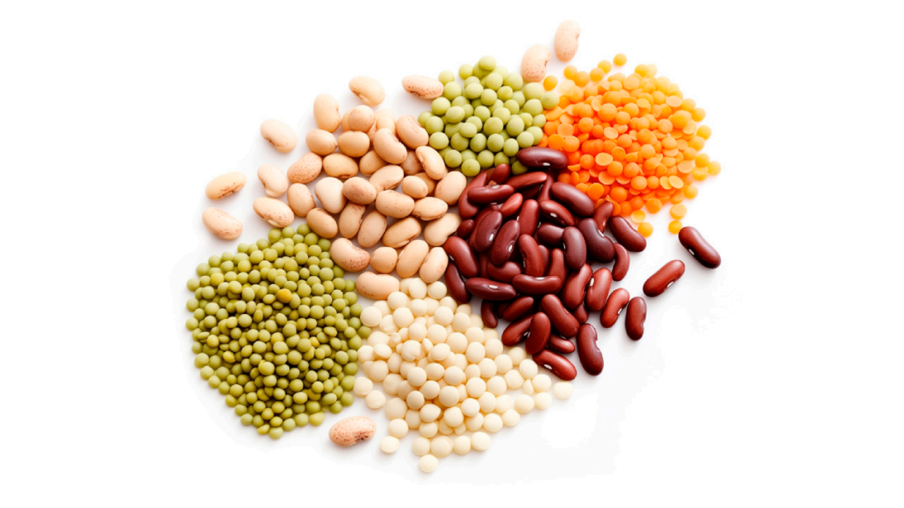 Alimentos sin cereales para gatos y perros