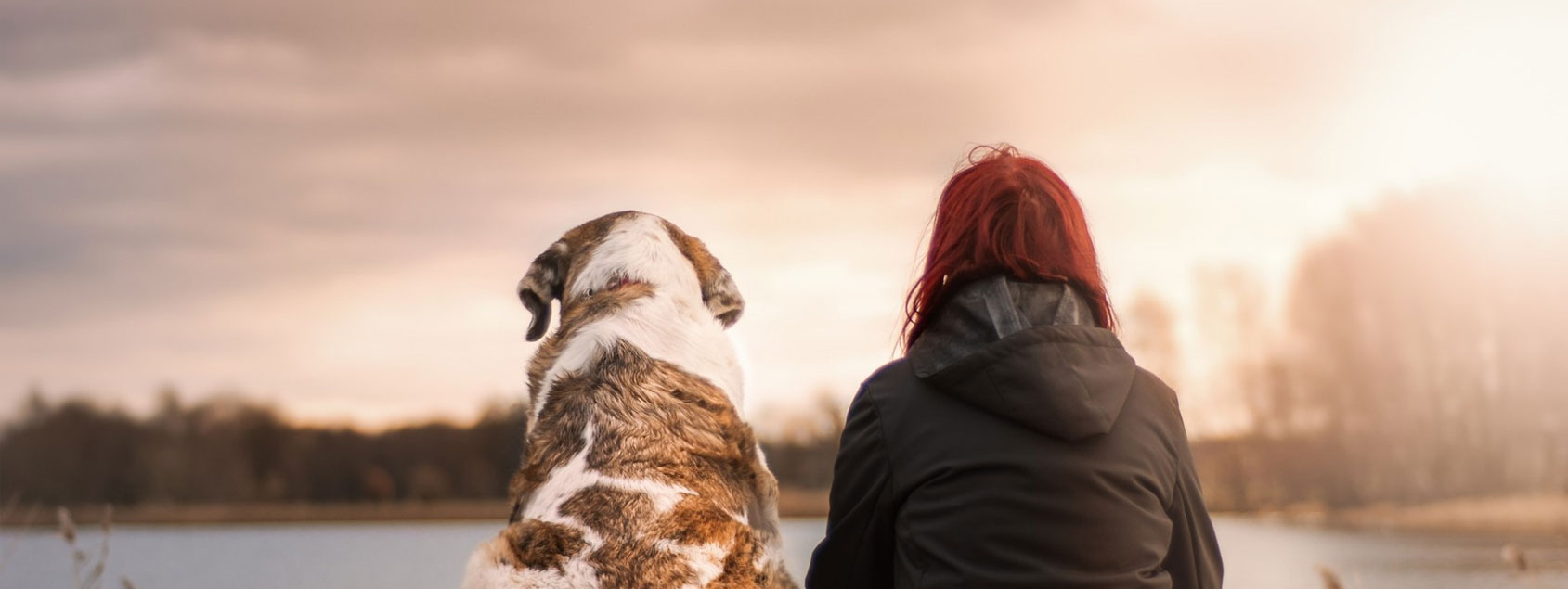 Mujer joven jugando con su perro