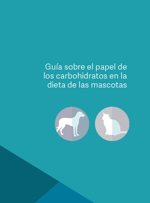 Guía sobre el papel de los carbohidratos en la dieta de las mascotas